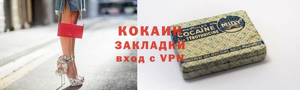 дживик Алексин