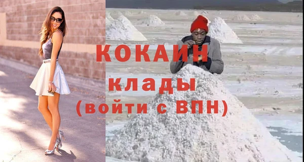 дживик Алексин