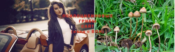 mdpv Алзамай